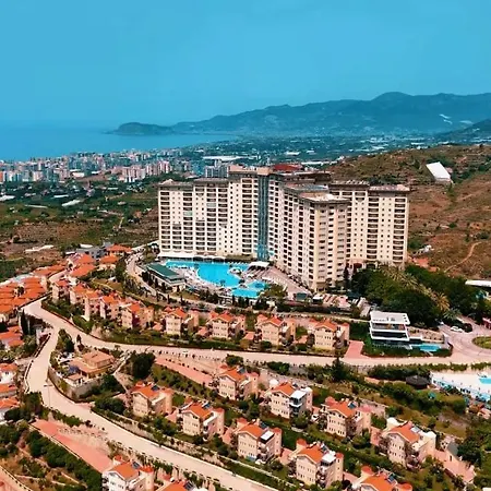 Goldctiy אלאניה